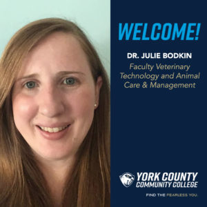 Instagram 1080x1080 welcome drbodkin 300x300 1