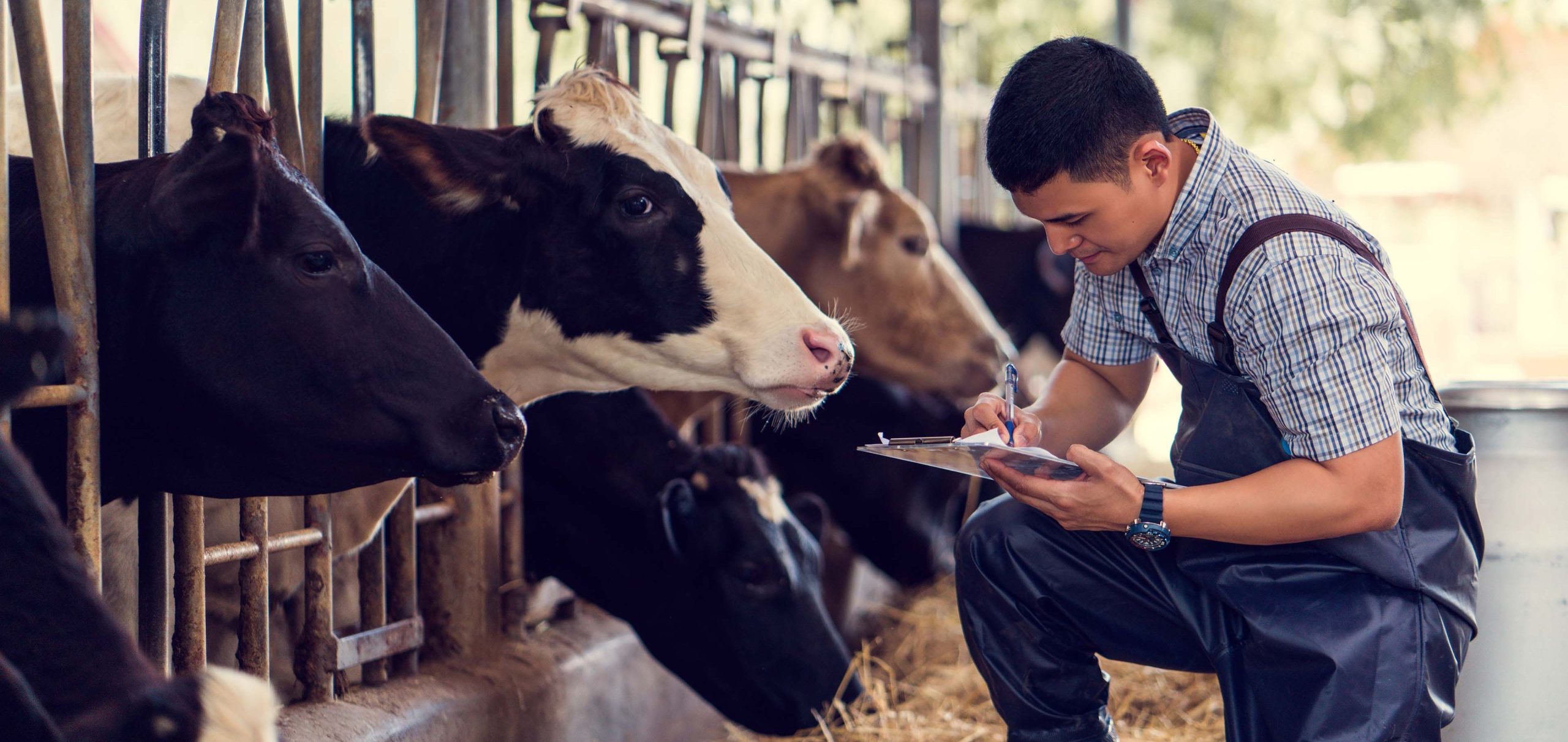 IStock 931566626 scaled aspect ratio 1110 525