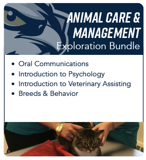 Animal care 4