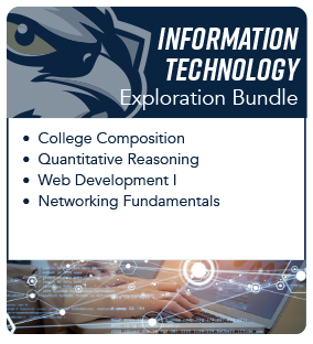 Information technology