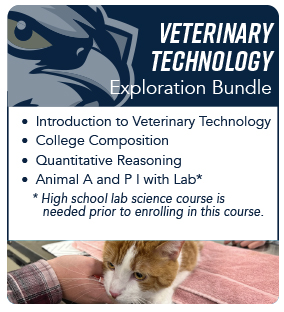 Vettech